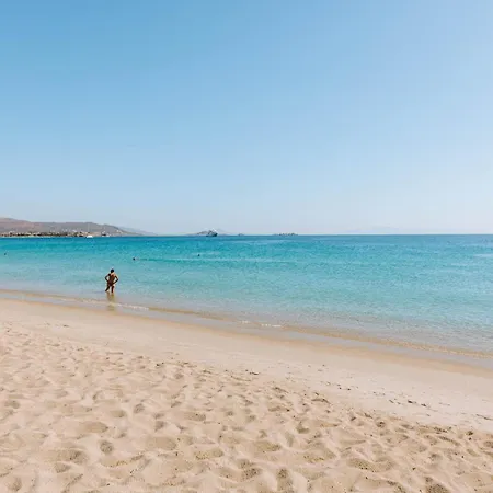 Hotiday Collection - Naxos